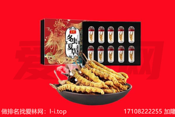 邵阳回收虫草.jpg